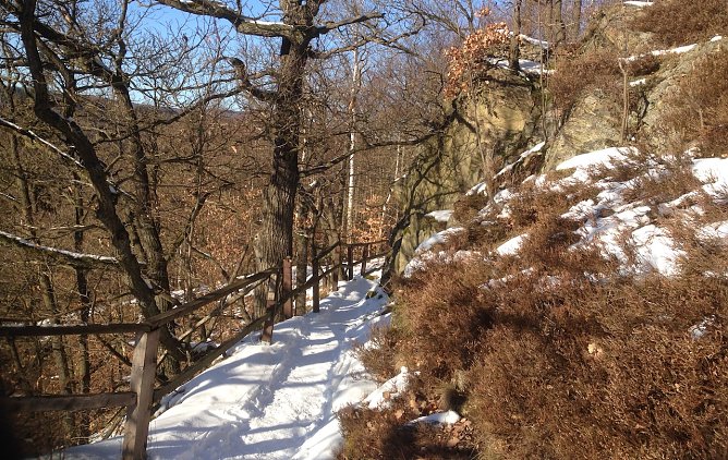 Bei M&auml;gdesprung im Harz (Foto: oas)