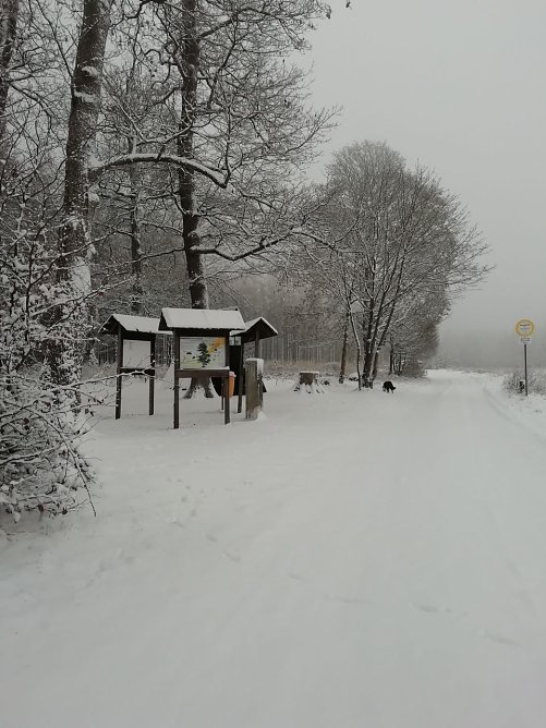 Winterwetter in Sophienhof (Foto: W. J&ouml;rgens)