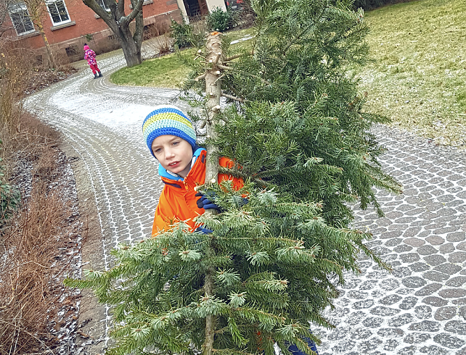 Weihnachtsbaumaktion in Heilbad Heiligenstadt (Foto: Feuerwehr Heiligenstadt)