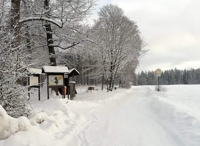 Winteridylle in Sophienhof (Foto: W.J&ouml;rgens)