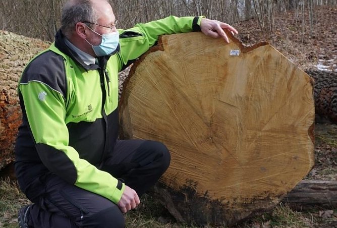 h&uuml;ringenForst-Vorstand Volker Gebhardt vor der mit knapp 3.000 Euro teuersten Eiche der diesj&auml;hrigen Submission (Foto: Th&uuml;ringenForst)
