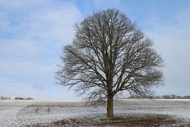 Wetterbild (Foto: agl)