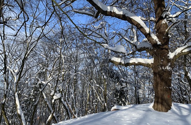 Die Winterpracht weicht fr&uuml;hlingshaften Temperaturen (Foto: oas)