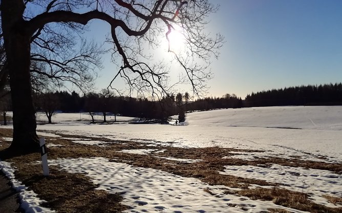Bei Sophienhof (Foto: W.J&ouml;rgens)