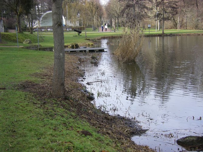 So sieht das Ufer aktuell aus (Foto: W. Roth)
