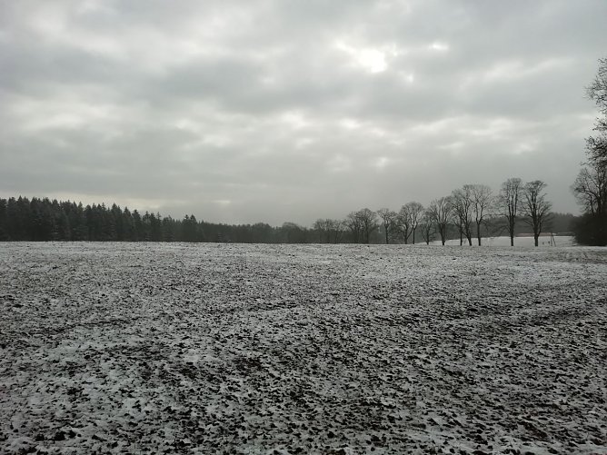 Bei Sophienhof (Foto: W.J&ouml;rgens)