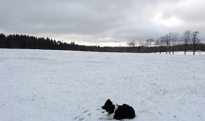 Sophienhof heute morgen bei -3 Grad und 2 Zentimeter Neuschnee (Foto: W.J&ouml;rgens)
