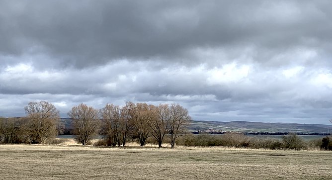 Bei Auleben (Foto: oas)