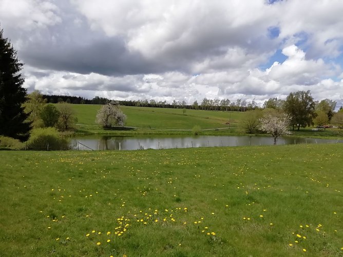 Wolkig in der H&ouml;he - unser Wetterbild kommt heute aus Sophienhof (Foto: W. J&ouml;rgens)