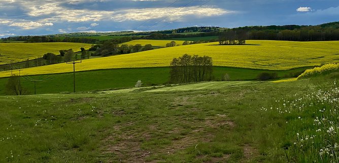 Bei Limlingerode (Foto: oas)