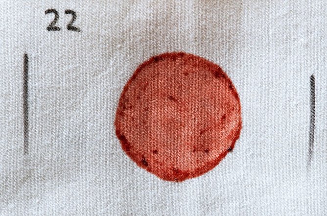 Test mit Marmelade-Flecken (Foto: Stiftung Warentest)