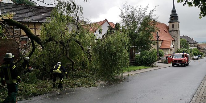 Eine abgebrochene Weide blockierte in Bernterode die Fahrbahn (Foto: Feuerwehr Heiligenstadt)
