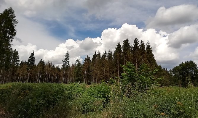 Impression aus Sophienhof (Foto: W.J&ouml;rgens)