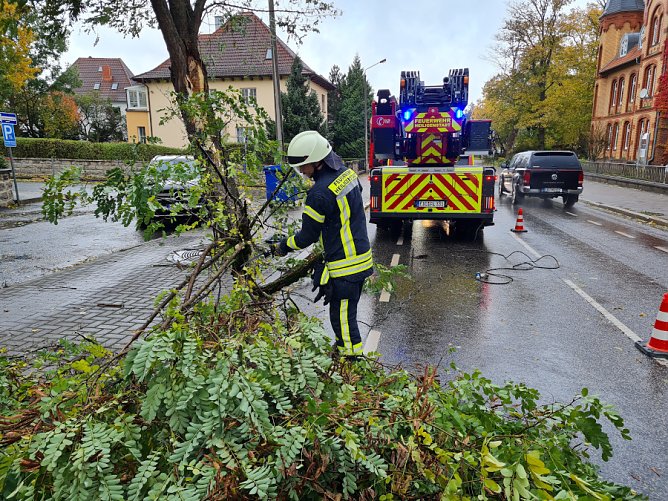 Bäume mussten von der Straße geräumt werden (Foto: Feuerwehr Heiligenstadt) Bäume mussten von der Straße geräumt werden (Foto: Feuerwehr Heiligenstadt)