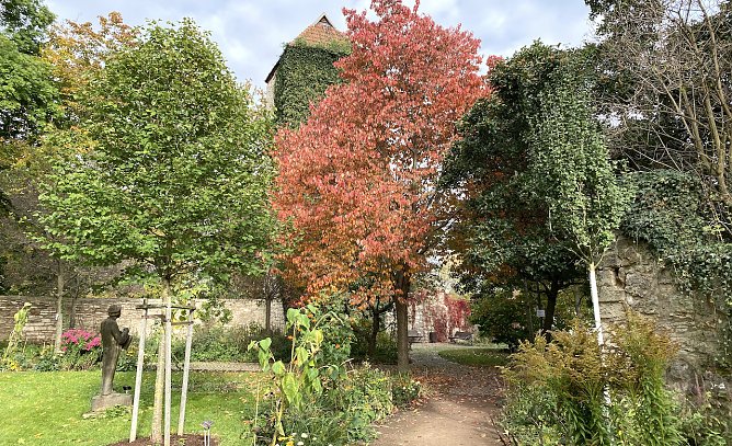 Im Arboretum in Bad Langensalza (Foto: oas) Im Arboretum in Bad Langensalza (Foto: oas)