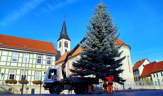 Der Worbiser weihnachtsbaum (Foto: René Weißbach) Der Worbiser weihnachtsbaum (Foto: René Weißbach)