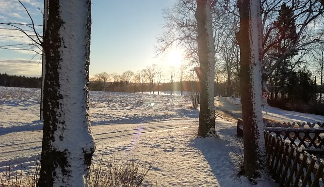 Winterstimmung im Harz (Foto: W.J&ouml;rgens)