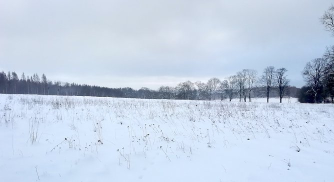 Wetter im Harz weiter winterlich (Foto: W.J&ouml;rgens)