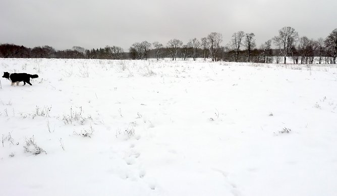 Im Oberharz sind heute -1 Grad, leichter Wind und etwa 10 cm Schnee. Zum Rodeln ausreichend.  (Foto: W.J&ouml;rgens)