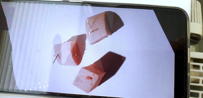 Gefundene Giftk&ouml;der in Leinefelde (Foto: Ronald Graul )