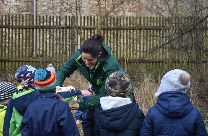 Der B&auml;renpark Worbis veranstaltet zum Fr&uuml;hlingserwachen seiner Sch&uuml;tzlinge eine Gewinnspiel f&uuml;r Kinderg&auml;rten und Grundschulen (Foto: B&auml;renpark Worbis)