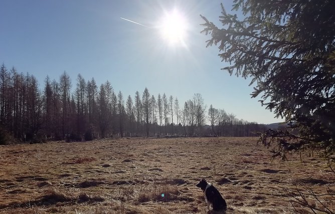 Perfektes Frauentagswetter auf den Harzer H&ouml;henlagen bei -2 Grad heute Morgen (Foto: W.J&ouml;rgens)