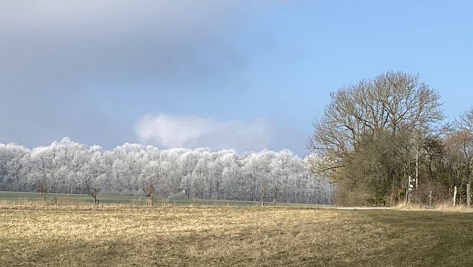 Bei Dingelstädt (Foto: oas) Bei Dingelstädt (Foto: oas)