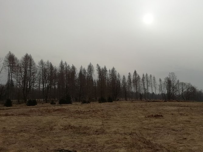 In Sophienhof verschwand die Sonne heute morgen noch hinter einem Wolkenschleier (Foto: W. Jörgens) In Sophienhof verschwand die Sonne heute morgen noch hinter einem Wolkenschleier (Foto: W. Jörgens)