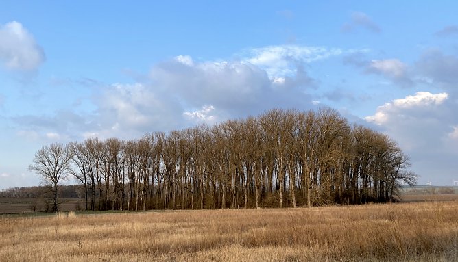 Bei Bad Langensalza (Foto: oas)