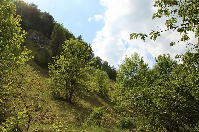 Wetterbild (Foto: agl)