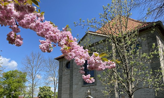 Morgen ist mit heftigen Unwettern zu rechnen (Foto: oas) Morgen ist mit heftigen Unwettern zu rechnen (Foto: oas)