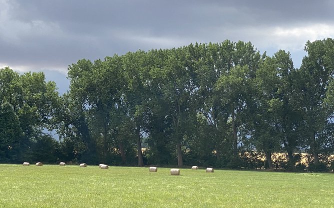 Die Wetteerstimmung bleibt gewittrig (Foto: oas) Die Wetteerstimmung bleibt gewittrig (Foto: oas)