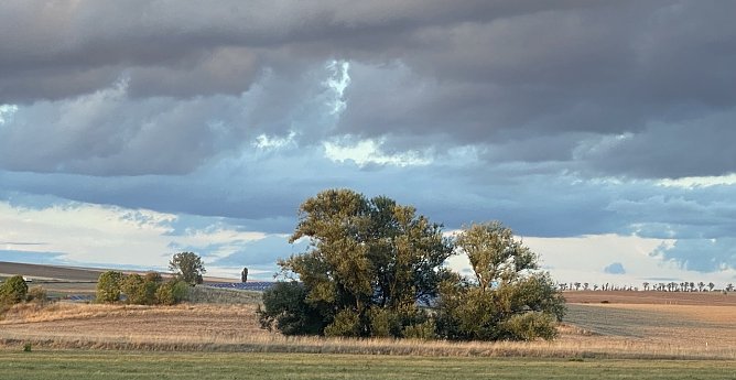 Es bleibt auch morgen regnerisch (Foto: oas) Es bleibt auch morgen regnerisch (Foto: oas)