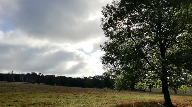 Sophienhof heute Morgen bei 4 °C. (Foto: W. Jörgens) Sophienhof heute Morgen bei 4 °C. (Foto: W. Jörgens)