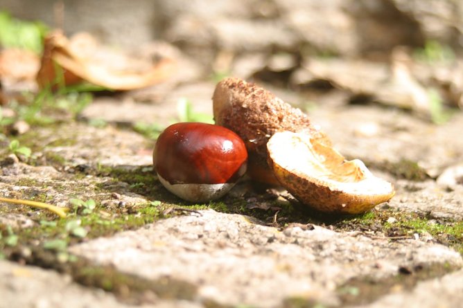 Wetterbild (Foto: WirSinds) Wetterbild (Foto: WirSinds)
