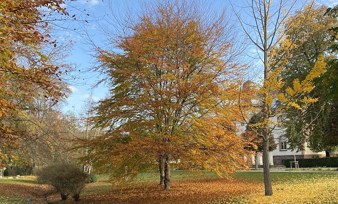 Im Kurpark Bad Langensalzas (Foto: oas)