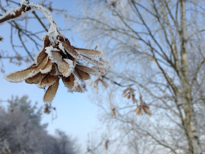 Für den kommenden Winter rechnen Meteorologen mit milden Temperaturen (Foto: wirsinds) Für den kommenden Winter rechnen Meteorologen mit milden Temperaturen (Foto: wirsinds)