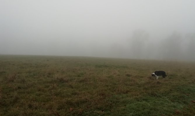 Im Harz ist heute nicht allzu viel zu sehen (hier: Sophienhof) (Foto: W. Jörgens) Im Harz ist heute nicht allzu viel zu sehen (hier: Sophienhof) (Foto: W. Jörgens)
