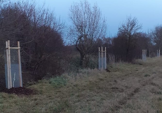 Aufnahmen der Niederb&ouml;sa im Kyffh&auml;userkreis (Foto: Gew&auml;sserunterhaltungsverband (GUV) Helme, Ohne, Wipper)