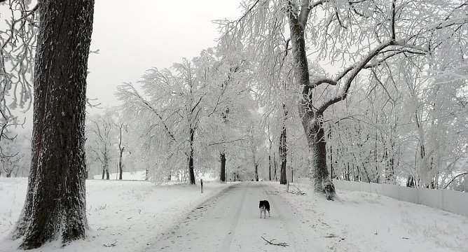 Im Harz liegt Schnee, in Sophienhof herrschen Temperaturen um den Gefrierpunkt bei leichtem Wind (Foto: W.J&ouml;rgens)