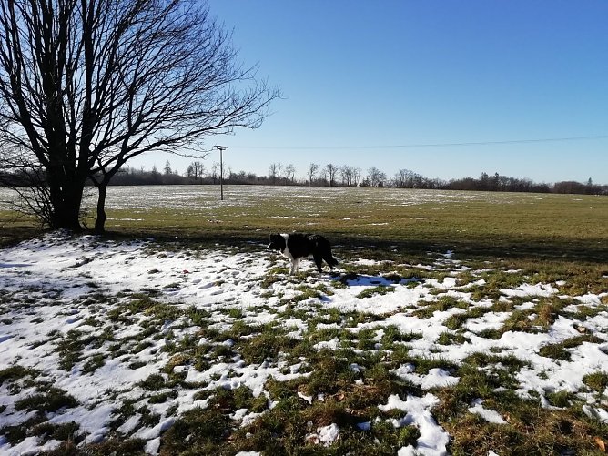 Im Harz kommt die Sonne langsam gegen den Winter an (Foto: W. Jörgens) Im Harz kommt die Sonne langsam gegen den Winter an (Foto: W. Jörgens)
