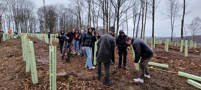 pflanzaktion in Worbis (Foto: N.Böhlitz) pflanzaktion in Worbis (Foto: N.Böhlitz)