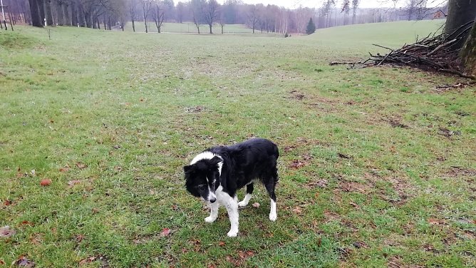 3 Grad und Regen gab es heute Morgen aus Sophienhof zu vermelden  (Foto: W.J&ouml;rgens)