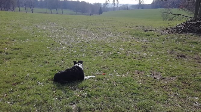 Null Grad und windig heute Morgen in Sophienhof (Foto: W.Jörgens) Null Grad und windig heute Morgen in Sophienhof (Foto: W.Jörgens)