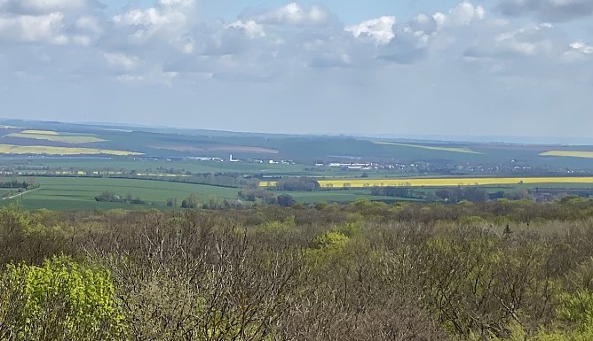Blick vom Baumkronenpfad (Foto: oas)