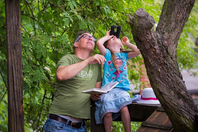 Guck mal wer da zwitschert - der NABU l&auml;dt wieder dazu ein bei der "Stunde der Gartenv&ouml;gel" einen Blick auf die heimische Vogelwelt zu werfen (Foto: NABU, Sebastian Hennigs)
