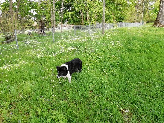 16 Grad, Sonne und leichter Wind in Sophienhof (Foto: W. J&ouml;rgens)
