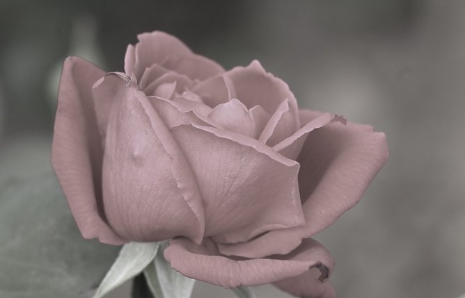 Spendenaufruf f&uuml;r verstorbene Feuerwehrfrau (Foto: Eva Maria Wiegand)