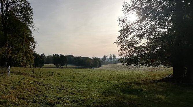 Minus 1,6 Grad und Sonne meldet Sophienhof heute Morgen (Foto: W. J&ouml;rgens)