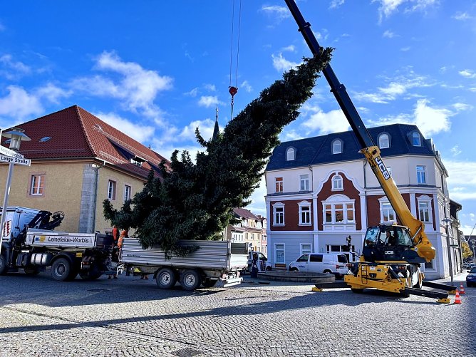 Die 11 Meter hohe Fichte ist der Worbiser Weihnachtsbaum für dieses Jahr (Foto: Leinefelde-Worbis) Die 11 Meter hohe Fichte ist der Worbiser Weihnachtsbaum für dieses Jahr (Foto: Leinefelde-Worbis)